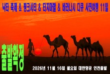 낙타 축제 & 핑크시티 & 타…